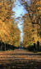 Brompton Cemetery