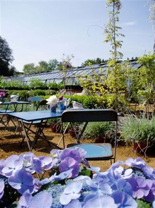 Petersham Nurseries Cafe and Teahouse