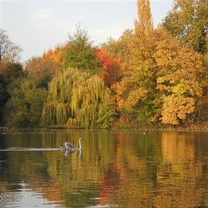 Battersea Park Battersea Park
