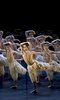 Matthew Bourne's Swan Lake Matthew Bourne's Swan Lake