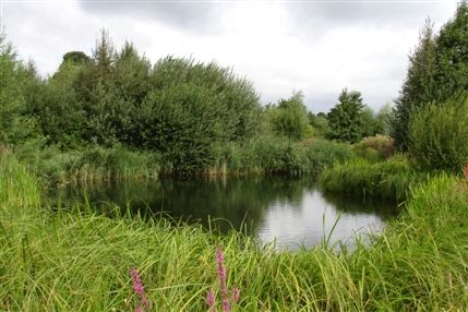 WWT London Wetland Centre