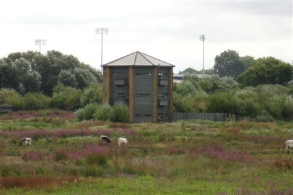 WWT London Wetland Centre
