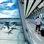 London Gatwick Airport