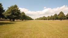 Bushy Park