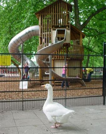 Coram's Fields