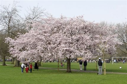 Battersea Park Battersea Park