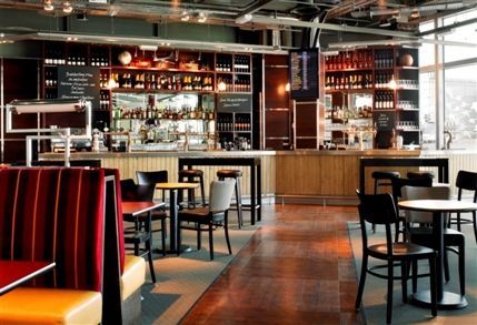The Tin Goose
