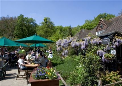 Pavilion Cafe