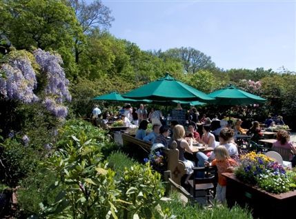 Pavilion Cafe Pavilion Cafe