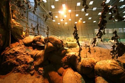 The Paintball Centre