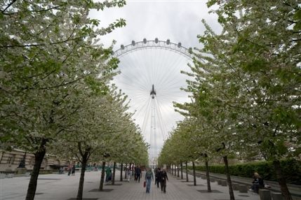 London Eye
