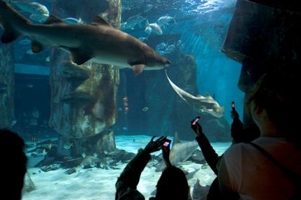 Sea Life London Aquarium