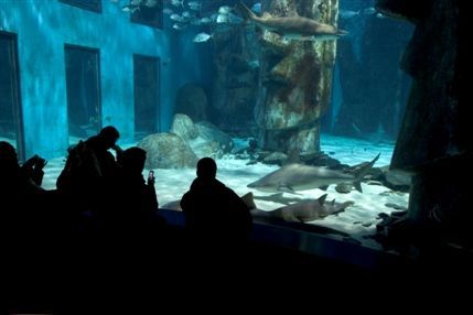 Sea Life London Aquarium