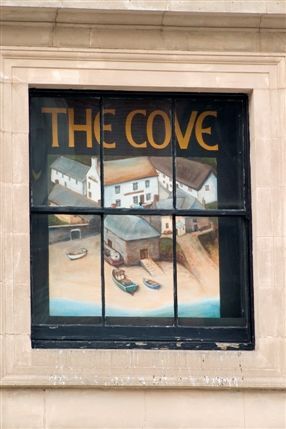 The Cove The Cove