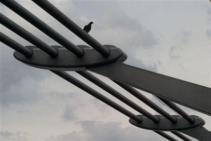Millennium Bridge