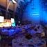 Royal Horticultural Halls