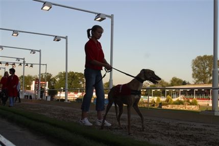 Walthamstow Greyhound Stadium Walthamstow Greyhound Stadium