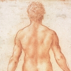 Leonardo da Vinci: Anatomist