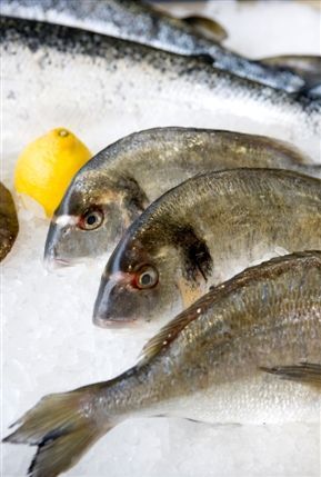 Cape Clear Fish Shop