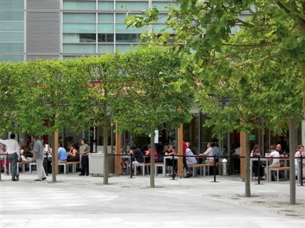 Cardinal Place