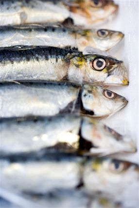 Cape Clear Fish Shop