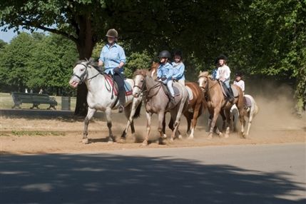 Hyde Park Stables
