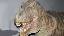 Natural History Museum