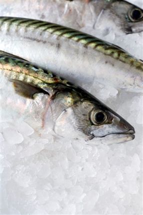 Cape Clear Fish Shop