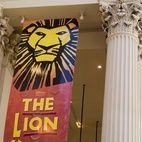 The Lion King hotels title=