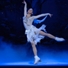 Swan Lake on Ice