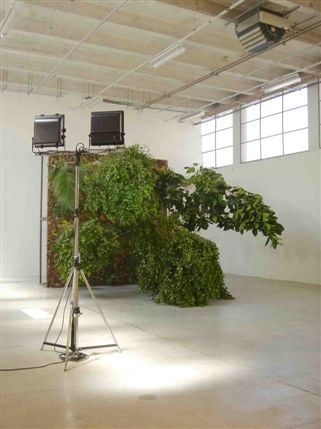 Radical Nature - Henrik Hakansson, Fallen Forest, 2006 Courtesy the artist, Galleria Franco Noero, Turin and The Modern Institute/ Toby Webster Ltd, Glasgow. Photo: Yann Revol