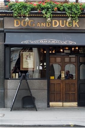 The Dog and Duck The Dog and Duck