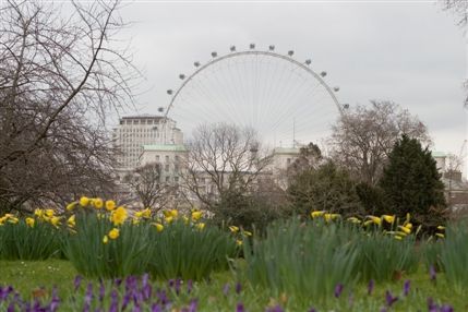 London Eye