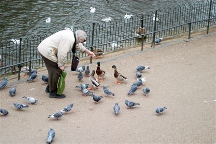 St James's Park