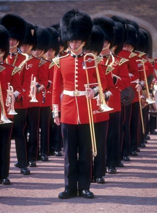 THE ROYAL MEWS