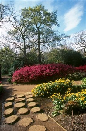 Isabella Plantation