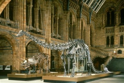 Natural History Museum