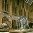 London Museums and Galleries