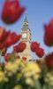 Summer Opening of Parliament Tours