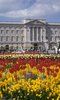Buckingham Palace Summer Opening photo