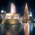 Trafalgar Square Christmas Tree & Carols hotels title=