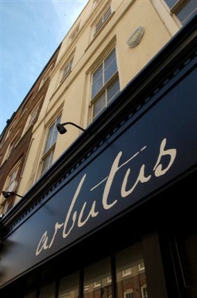 Arbutus