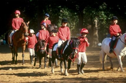 Hyde Park Stables Hyde Park Stables