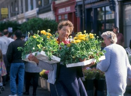 Columbia Road Flower Market