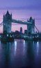 Tower Bridge Exhibition London