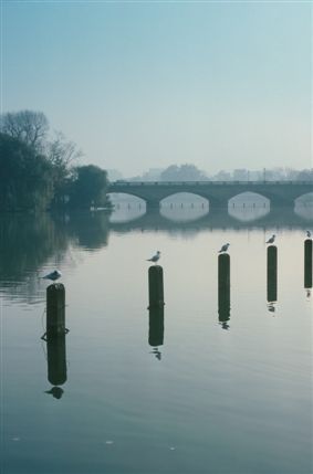 Serpentine Boating Lake