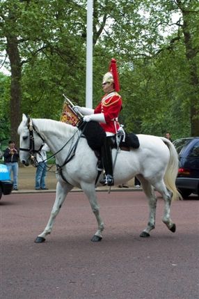 Buckingham Palace