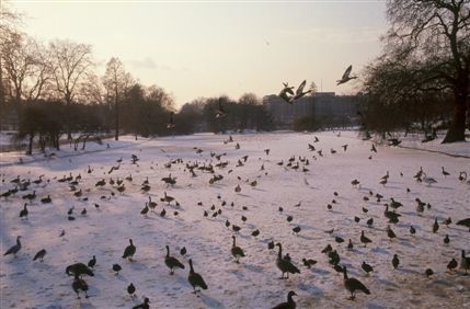 St James's Park