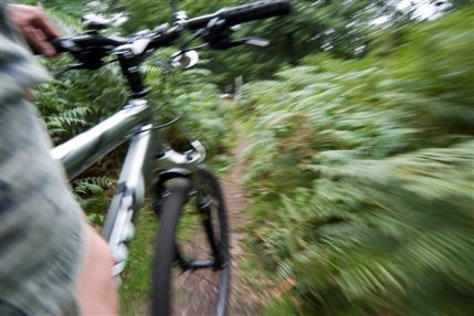 Richmond Park
