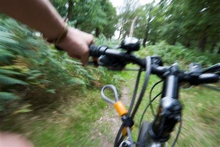 Richmond Park